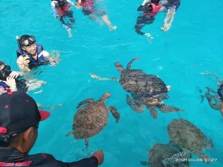 Long Beach Garden Kampung Kuala Besut Dış mekan fotoğraf