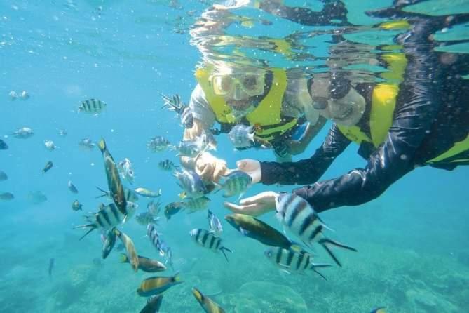 Long Beach Garden Kampung Kuala Besut Dış mekan fotoğraf